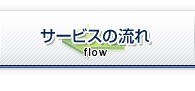 T[rX̗ flow